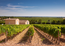 Profitez d’un séjour écoresponsable à l’Hôtel Atena Créon, idéalement situé près de Bordeaux et des vignobles de l’Entre-deux-Mers